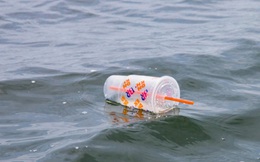 Mỹ vẫn là quốc gia “tuồn” rác thải nhựa hàng đầu ra đại dương