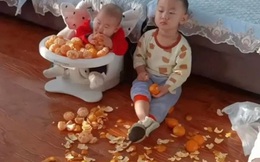 Con trai 4 tuổi đã biết bóc cam và trông em, mẹ vắng mặt nửa tiếng quay lại chỉ muốn xỉu