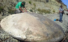Tới xem tảng đá hình đĩa bay trên núi, chuyên gia kinh ngạc: "Của hiếm" đang được săn lùng