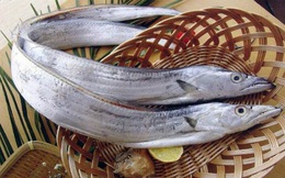 8 loại cá cực bổ dưỡng mà các bà nội trợ thông minh chắc chắn không bỏ qua