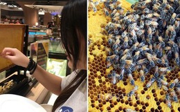 Thực khách được trải nghiệm "chọc tổ ong" ngay giữa nhà hàng sang trọng