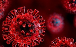 Cơ chế giúp nhiều người gần như miễn nhiễm SARS-CoV-2: Triển vọng về "siêu vắc-xin"