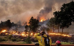 Năm 2021, phát thải carbon từ các vụ cháy rừng chạm mốc cao kỷ lục