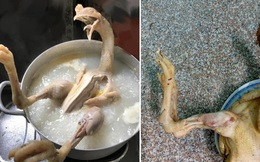 Những 'siêu phẩm' gà luộc ngày Tết nhìn vừa tức vừa buồn cười: Con co cánh, con duỗi chân đủ mọi tư thế