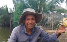 Ngày Tết, cua biển ngon nhất miền Tây giá 1 triệu đồng/kg