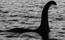 Bí mật về quái vật giống quái vật hồ Loch Ness