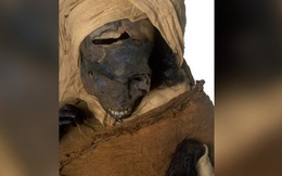 Chụp CT, phát hiện điều kinh hoàng trên xác ướp Ai Cập: Điều bất thường nhất nằm trong quan tài