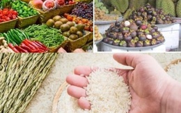 Mở cửa hàng kinh doanh nông sản sạch lúc này chắc ăn có lãi?