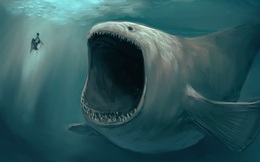 Hội chứng sợ biển Thalassophobia: Nỗi ám ảnh không thể lý giải với đại dương