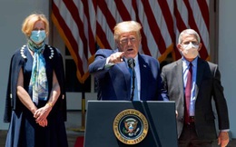 Đang ở ẩn, ông Trump nổi trận lôi đình