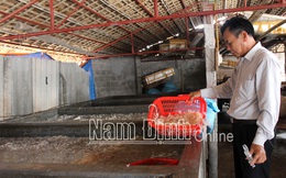 Nam Định: Ra biển vớt con hình thù kỳ dị đem chế thành thứ ăn sần sật bán khắp nơi, bán ra cả nước ngoài
