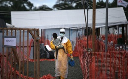Châu Phi ghi nhận 13 trường hợp tử vong vì dịch Ebola
