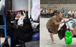 Những cụ già làm nghề "đồng nát" kiếm bạc lẻ để sinh tồn giữa Seoul hoa lệ: Góc khuất bị lãng quên của một đất nước giàu có