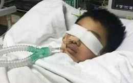 Cậu bé 7 tuổi bị ép học đến mức tím bầm người, đột tử trên bàn học, lời nhắn nhủ cuối cùng khiến gia đình ân hận cả đời