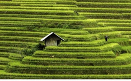 Việt Nam tuyệt đẹp qua ống kính nhiếp ảnh gia nước ngoài