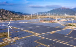 Ninh Thuận có tổ hợp năng lượng tái tạo 10.000 tỷ