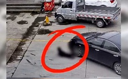 Ông để mặc cháu nằm ra đất ăn vạ, không ngờ tai họa ập đến trong nháy mắt