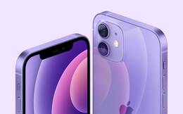 Apple ra mắt iPhone 12 màu tím, giá không đổi