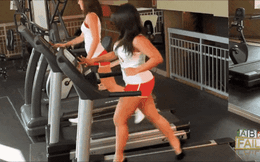 Khả năng tấu hài trong phòng gym chưa bao giờ khiến dân tình thất vọng