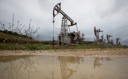 OPEC+ nới sản lượng sau cuộc gọi của Mỹ, giá dầu bất ngờ tăng mạnh