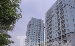 Lộ nguyên nhân khu chung cư tọa lạc vị trí 'đắc địa' ở Hà Nội bỏ hoang nhiều năm