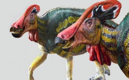 Phát hiện loài khủng long... biết nói sống ở Mexico 72 triệu năm trước