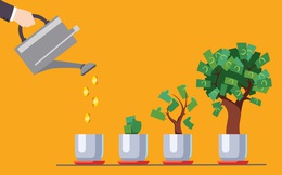 Cảnh giới cao nhất của kiếm tiền: ĐẦU TƯ!