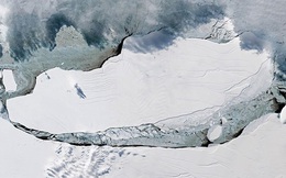 Tảng băng lớn nhất thế giới vừa tách khỏi Nam Cực, có diện tích bề mặt rộng hơn cả thủ đô Hà Nội