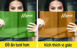 5 mẹo nhỏ mà các nhà hàng sử dụng để móc túi thực khách một cách tinh tế, hóa ra chúng ta đã bị “điều khiển” ngay từ lúc đọc menu