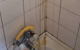Đang tắm thì phát hiện có chất lỏng màu vàng chảy xuống từ trần nhà, lấy hết can đảm để kiểm tra, cô gái bất ngờ với những gì nhìn thấy