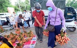 Vải thiều Bắc Giang được bán với giá 20.000 đồng/kg ở Thủ đô
