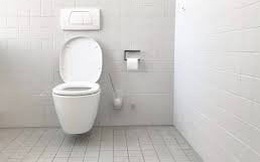 Vì sao bồn cầu thường có màu trắng chứ không phải màu khác?