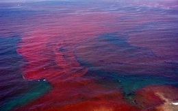 Biển Đỏ đang nở to, Trái Đất sắp có thêm 1 đại dương