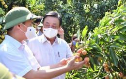 Bộ trưởng Lê Minh Hoan: Nên bỏ từ 'giải cứu nông sản'