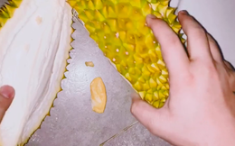 Thanh niên đăng clip than "đúng là sầu riêng chứ không phải sầu chung", hồi hộp xem cảnh xẻ quả mà dân tình mới hiểu vì sao