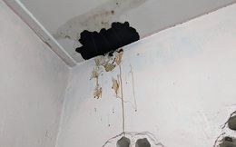 Thấy  chất lỏng màu vàng chảy xuống từ trần nhà, chủ nhà lên kiểm tra rồi kinh hãi trước kết quả