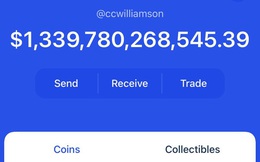 Sau 1 đêm bỗng trở thành nghìn tỷ phú, nhiều tiền hơn cả Jeff Bezos, Elon Musk nhờ đầu tư vào coin