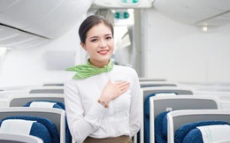 Hàng trăm triệu cổ phiếu Bamboo Airways được dùng làm tài sản đảm bảo khoản vay với mức giá 8.500 đồng/cp