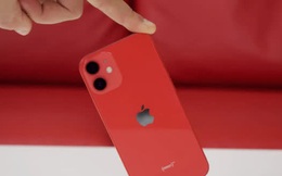 Quá ế ẩm, Apple ngừng sản xuất iPhone 12 Mini
