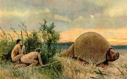 Hóa thạch của "lâu đài di động" ở Nam Mỹ: Sự xuất hiện của con người khiến chúng chịu thảm cảnh