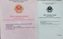 Kiến nghị điều tra hành vi làm "sổ đỏ" giả ở Kon Tum