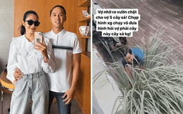 Hình ảnh đại gia Louis Nguyễn vào vườn nhổ sả cho vợ: Hà Tăng tủm tỉm đăng đàn khoe, “lụi tim” vì một hành động dễ thương này!