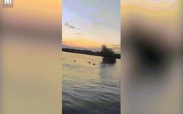 Video: Khoảnh khắc hà mã bất ngờ nổi điên, bơi cực nhanh rượt đuổi thuyền cao tốc