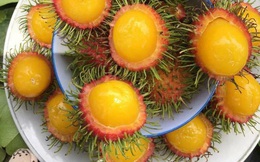Việt Nam có những loại quả rất "lừa tình": Nhìn thì tưởng sẽ rất ngọt nhưng ăn thử mới biết "thế nào là lễ hội"