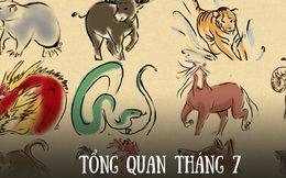 Tử vi tháng 7 của 12 con giáp: Mão tránh đầu tư tùy tiện, Thìn đề phòng đối thủ cạnh tranh, Hợi dễ thu lợi lớn
