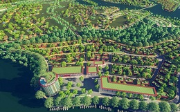 Đấu giá 33ha đất làm đô thị sinh thái ở Bình Định