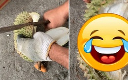 Bổ quả sầu riêng to, 1 khe được tận 3 múi nhưng thanh niên vẫn "chết lặng" khiến dân mạng vừa buồn cười vừa thương