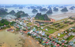 Chi tiết về loạt dự án vừa bị tỉnh Quảng Ninh 'khai tử'