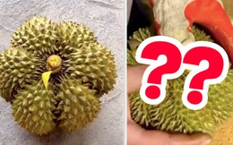 Quả sầu riêng "đột biến" nở ra như bông hoa 6 cánh khiến cõi mạng kinh ngạc, chất lượng bên trong còn gây bất ngờ hơn
