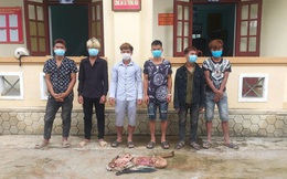 Nhóm thanh niên ở Quảng Bình giết trộm bò, xẻ lấy 4 đùi làm mồi nhậu